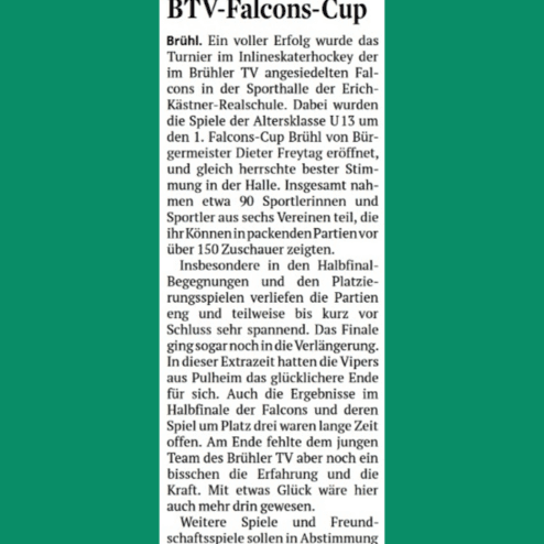 Artikel über den Erfolg der Pulheim Vipers beim BTV-Falcons-Cup im Inlineskaterhockey für die Altersklasse U13.