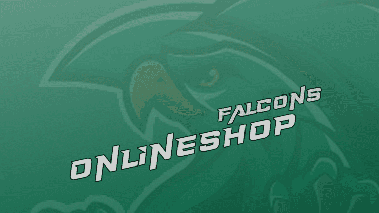 Logo mit einem Falken und dem Schriftzug "FALCONs ONLINESHOP" auf grünem Hintergrund.