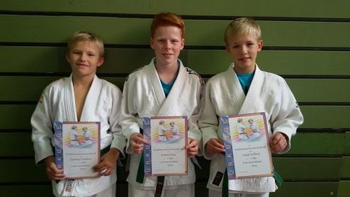 Drei Jungen in Judo-Anzügen halten Urkunden in der Hand, stehen vor einer grünen Wand.