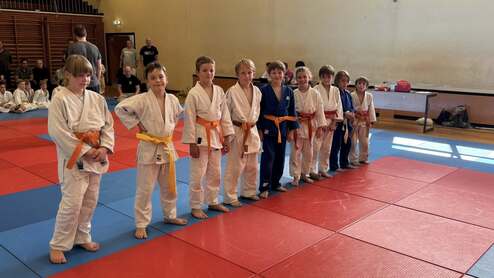 Gruppe von Kindern in Judokis, die auf einer Matte stehen, mit unterschiedlichen Gürtelfarben.