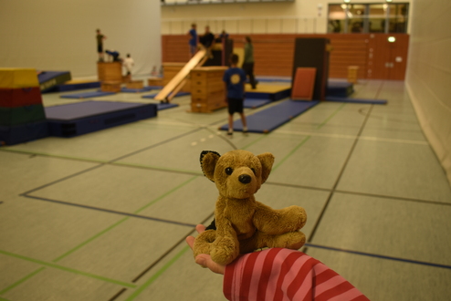 Aufnahme einer f&uuml;r Parcours aufgebauten Halle mit Kuscheltier im Vordergrund