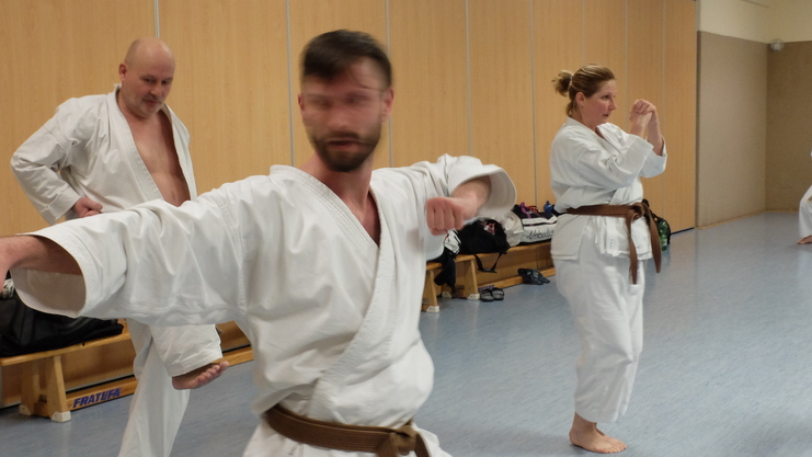 Vier Karateka in weißen Anzügen trainieren in einem Raum, einer führt einen Schlag aus, während andere Übungen machen.