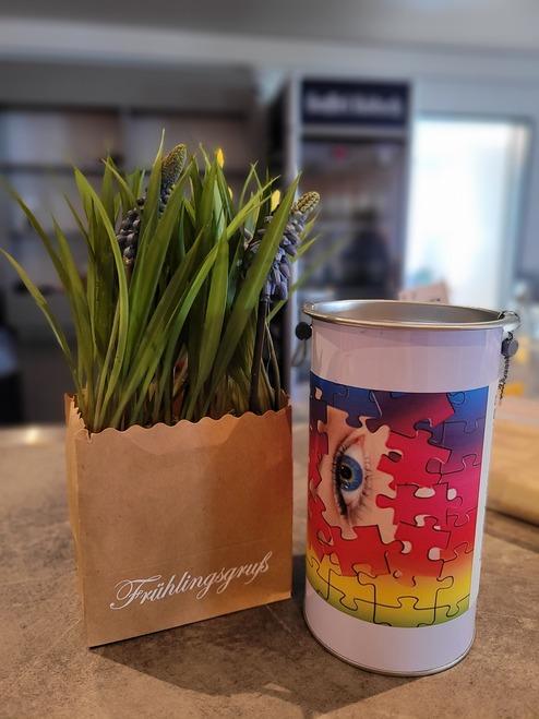 Topf mit künstlichen Pflanzen neben einer Dose mit einem Puzzle-Motiv und einer Augenillustration.