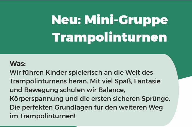 Auf dem Bild sieht man eine Beschreibung, zu einer Mini-Gruppe zum Trampolingruppe. Was: Wir f&uuml;hren Kinder spielerisch an die Welt des Trampolinturnens heran. Mit viel Spa&szlig;, Fantasie und Bewegung schulen wir Balance, K&ouml;rperspannung und die