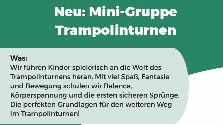 Poster Mini Gruppe Auf dem Bild sieht man eine Beschreibung, zu einer Mini-Gruppe zum Trampolingruppe. Was: Wir führen Kinder spielerisch an die Welt des Trampolinturnens heran. Mit viel Spaß, Fantasie und Bewegung schulen wir Balance, Körperspannung und die
