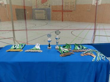 Pokal und Medaillen auf einem blauen Tisch, im Hintergrund eine Sporthalle mit markierten Spielfeldlinien.