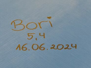 Schriftzug in Gold auf blauem Hintergrund: „Bori 5.4 16.06.2024“.