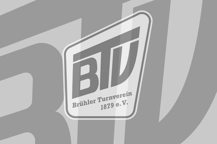BTV-Logo NEU Platzhalter 4zu3