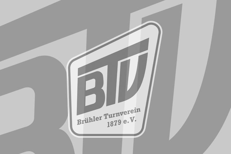 BTV-Logo NEU Platzhalter 4zu3