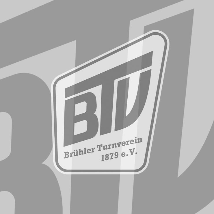 BTV-Logo NEU Platzhalter 4zu3