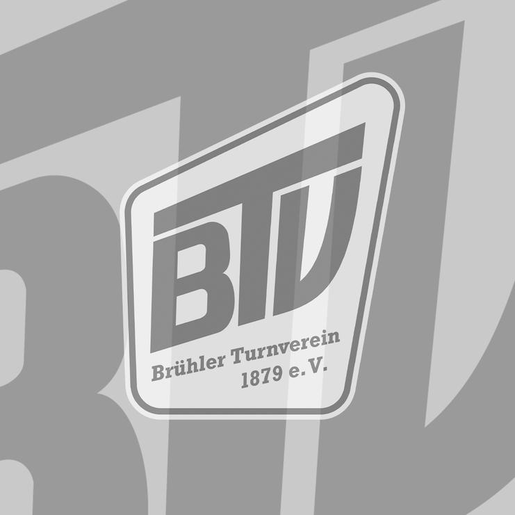BTV-Logo NEU Platzhalter 4zu3