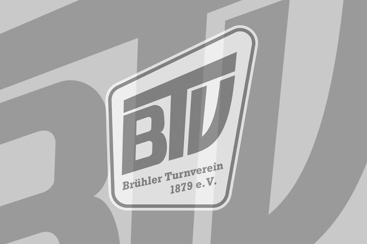 BTV-Logo NEU Platzhalter 4zu3